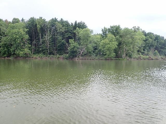 P8030101.JPG
