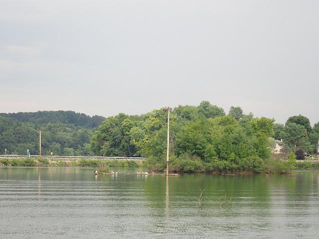 P8030102.JPG
