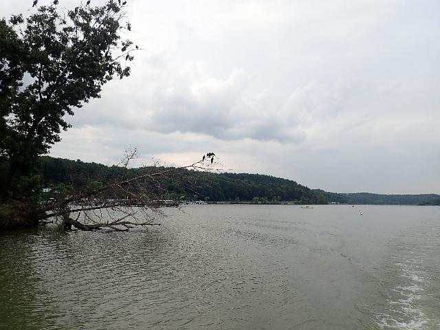 P8030104.JPG