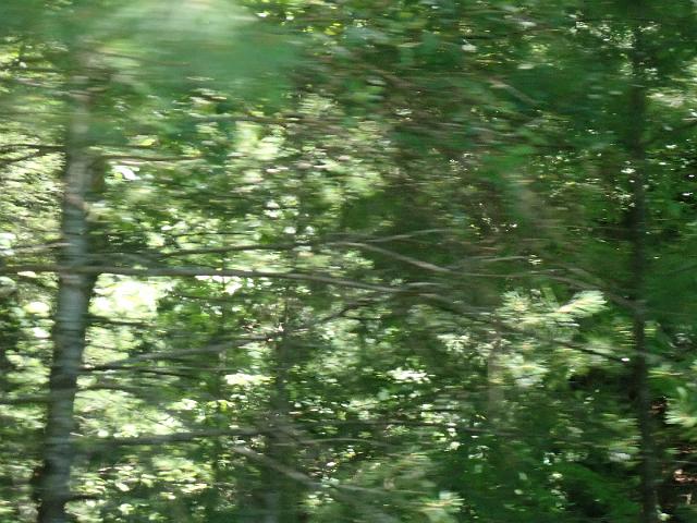P6190308.JPG