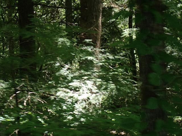 P6190309.JPG