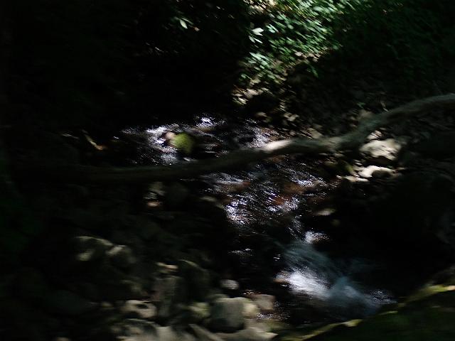 P6190319.JPG