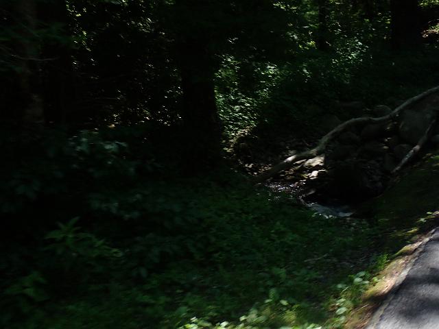 P6190320.JPG