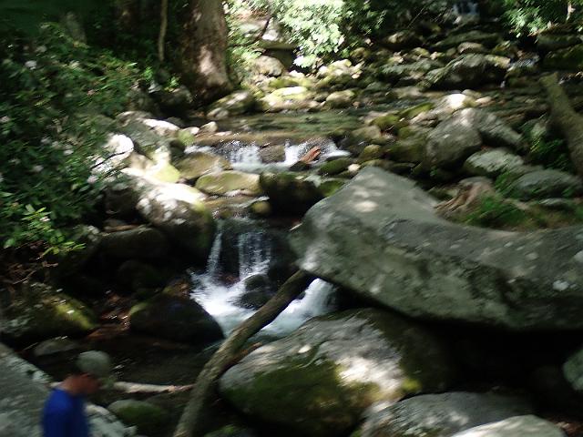 P6190352.JPG