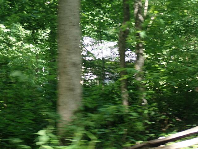 P6190354.JPG