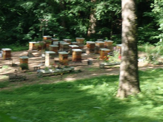 P6190377.JPG