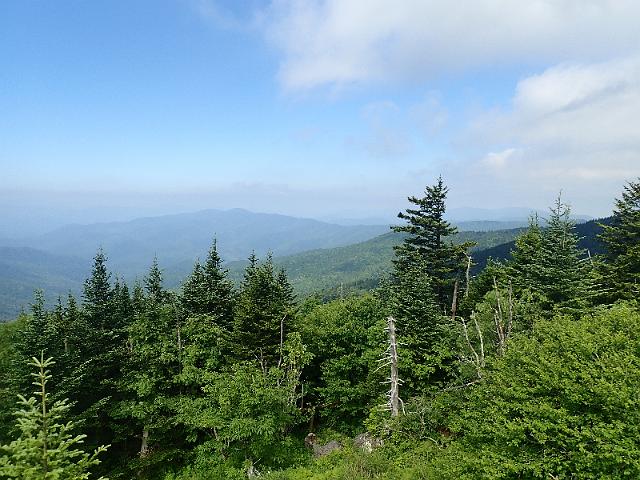 P6220451.JPG
