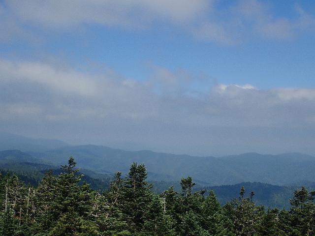 P6220462.JPG