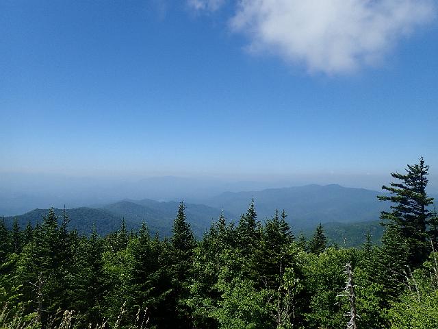 P6220470.JPG