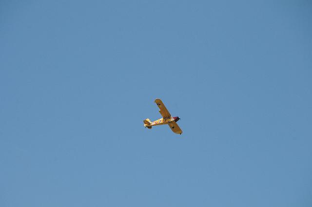 DSC_4003.JPG