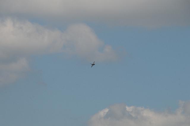 DSC_4300.JPG
