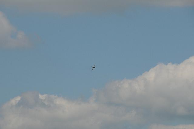 DSC_4301.JPG