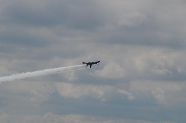DSC_4586.JPG