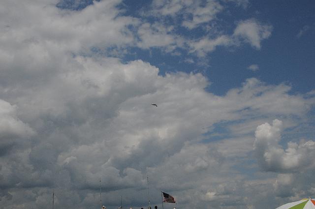 DSC_5686.JPG