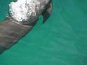 FILE01812