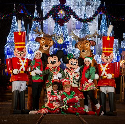 wd064wdw2015314339172209.jpeg