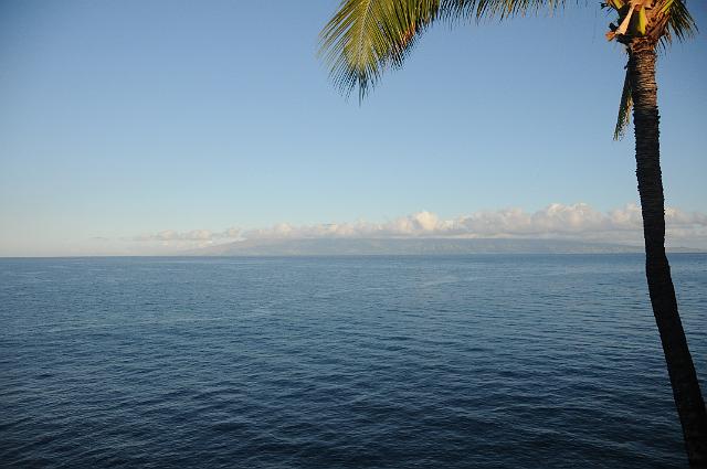 DJK_5721.JPG