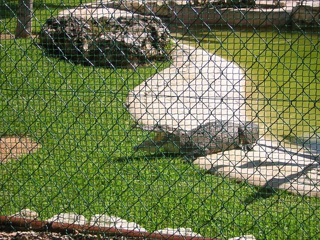 DSCN2891.JPG
