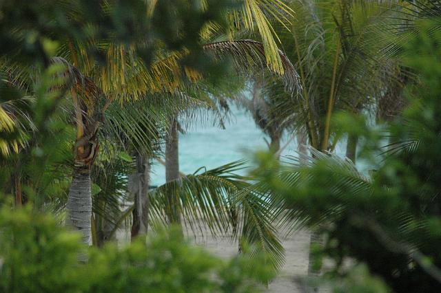 DSC_0015.JPG