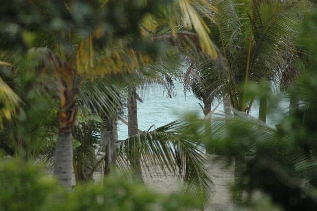 DSC_0022.JPG