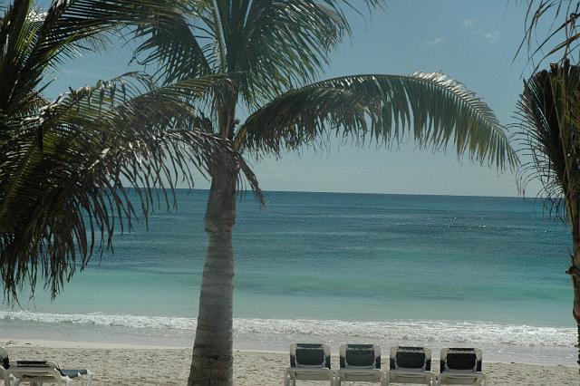 DSC_0074.JPG