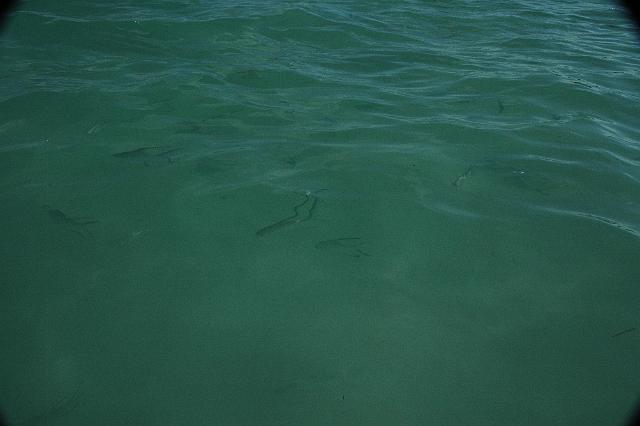 DSC_0292.JPG