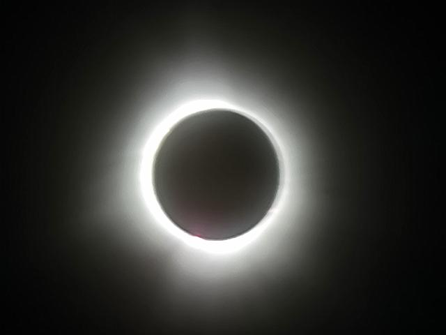 20240408_151738.jpg