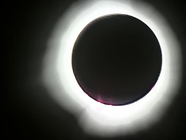20240408_151831.jpg