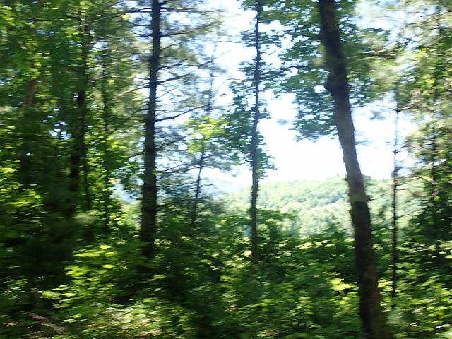 P6190198.JPG