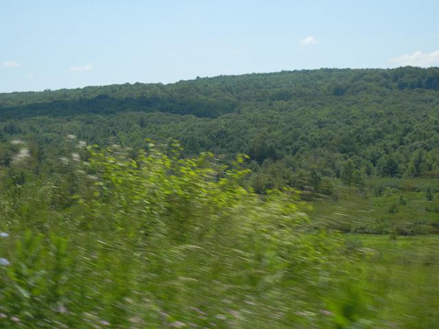 DSCN2530.JPG