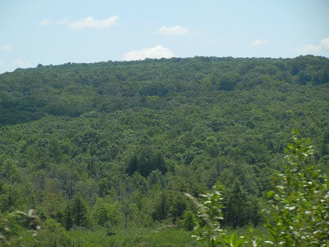DSCN2542.JPG