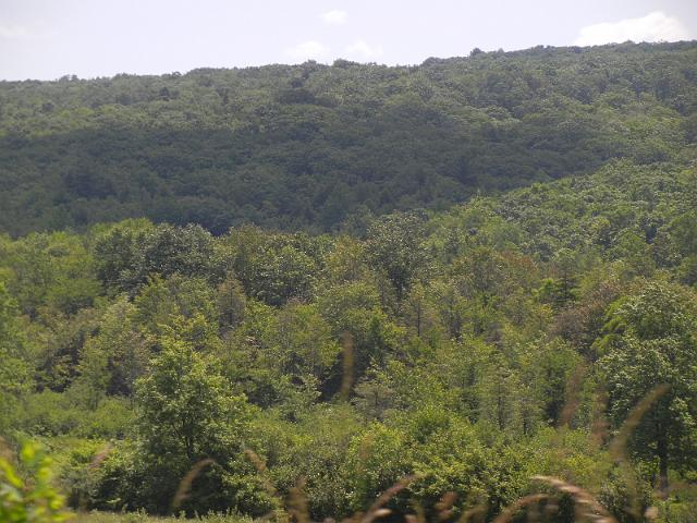 DSCN2543.JPG