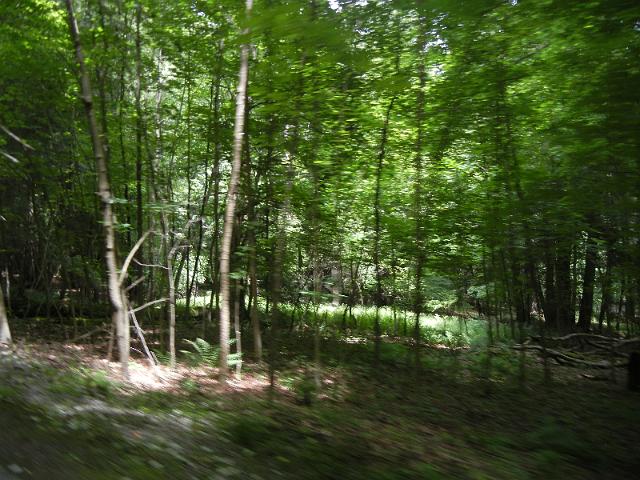 DSCN2584.JPG