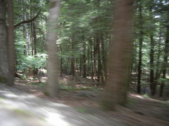 DSCN2585.JPG