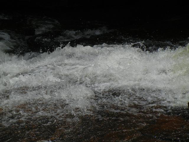 DSCN2600.JPG