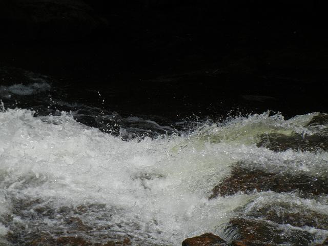 DSCN2601.JPG