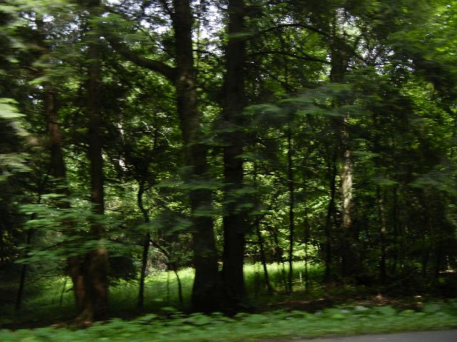 DSCN2622.JPG