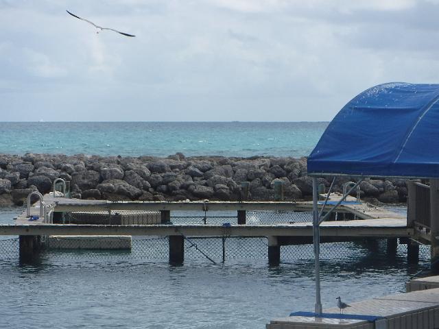 DSCF2069.JPG