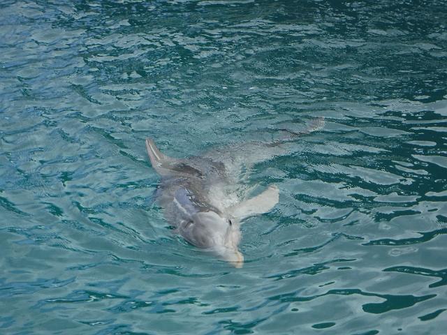 DSCF2073.JPG