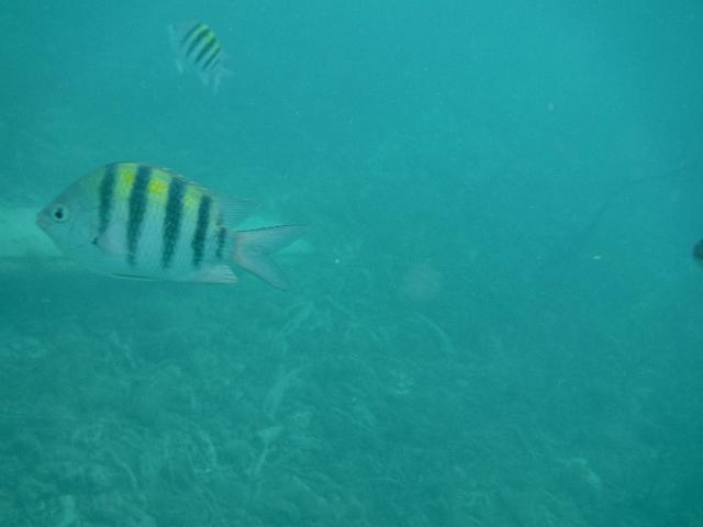 DSCF2141.JPG