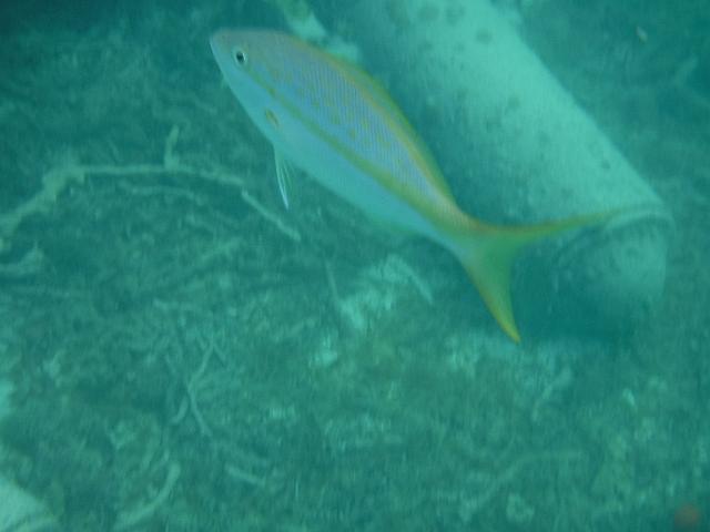 DSCF2142.JPG