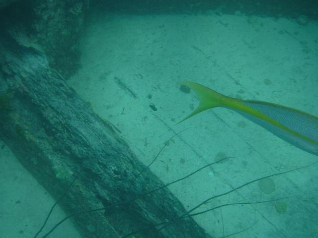 DSCF2144.JPG