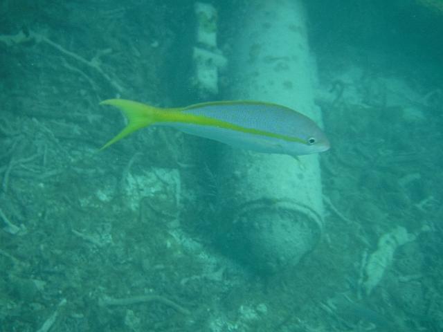 DSCF2145.JPG