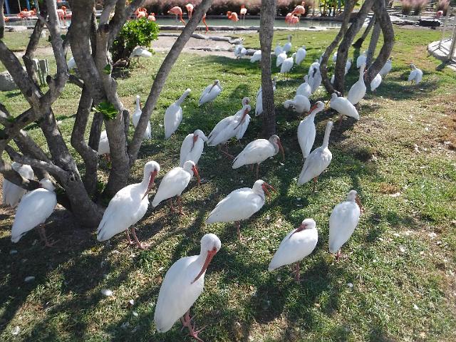 DSCF2222.JPG