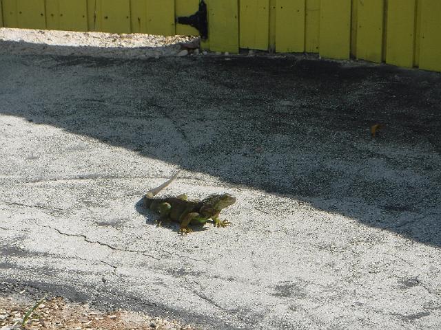 DSCF2262.JPG