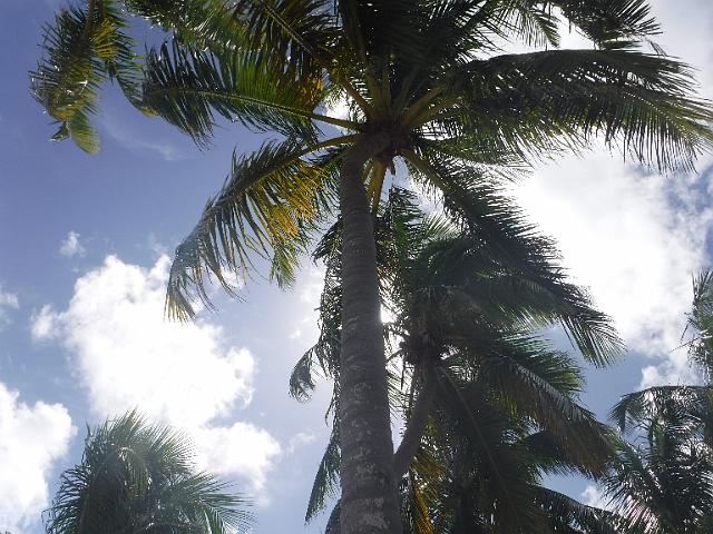 FILE01744.jpg