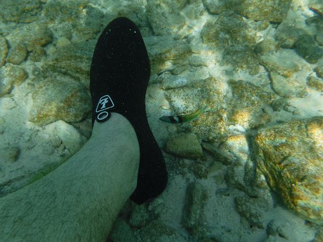 FILE01838.jpg