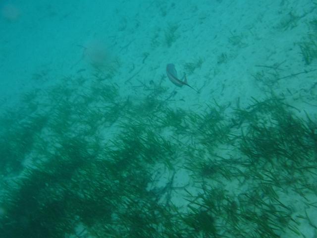 FILE01876.jpg