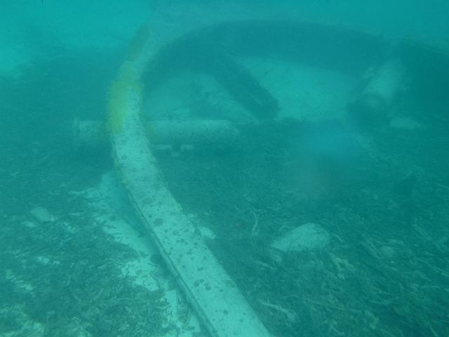 FILE01880.jpg