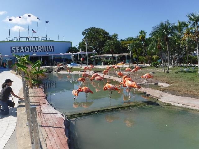 FILE01965.jpg